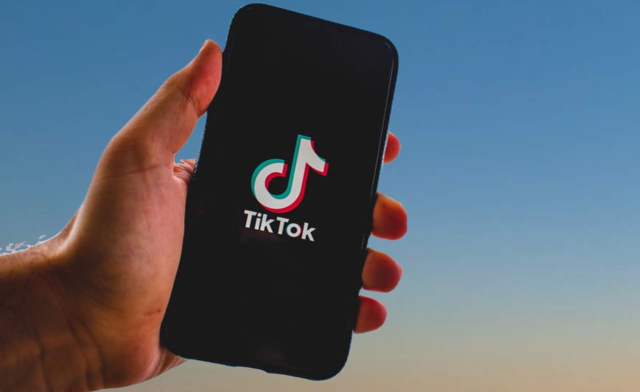 About tiktok, tik tok, app, smartphone, nature, iphone, tik tok banned, screen, mobile, technology, sky, tik tok china, palm